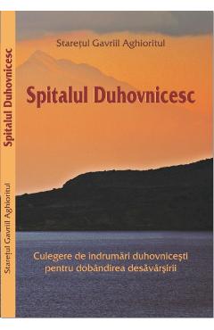 Spitalul duhovnicesc - Staretul Gavriil Aghioritul