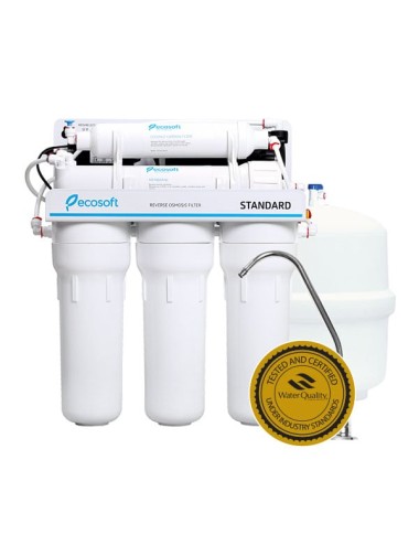 Purificator apa cu osmoza inversa Ecosoft in 5 trepte si pompa booster