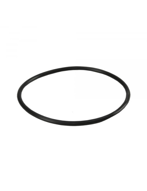 Garnitura tip Oring pentru carcasele filtrelor BigBlue