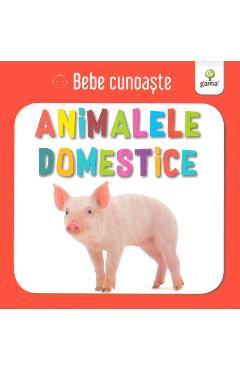 Animalele domestice - Bebe cunoaste