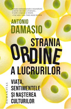 Strania ordine a lucrurilor - Antonio Damasio
