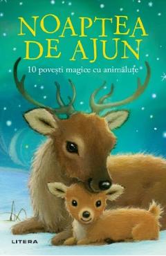 Noaptea de ajun. 10 povesti magice cu animalute - Rachel Delahaye