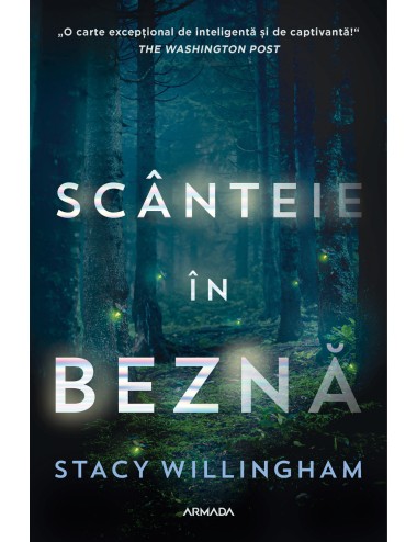 Scânteie în beznă