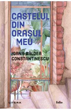 Castelul din orasul meu - Ioana Baldea Constantinescu