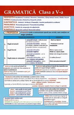 Plansa. Gramatica - Clasa 5
