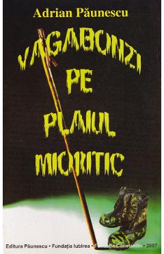Vagabonzi pe plaiul mioritic - Adrian Paunescu