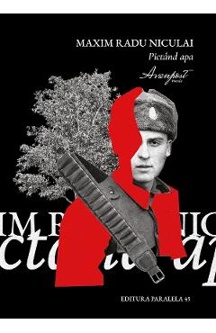 Pictand apa - Maxim Radu Niculai