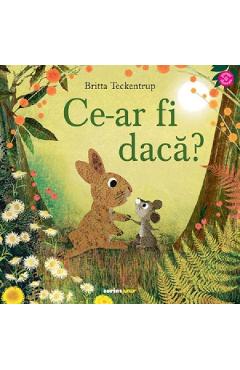 Ce-ar fi daca? - Britta Teckentrup