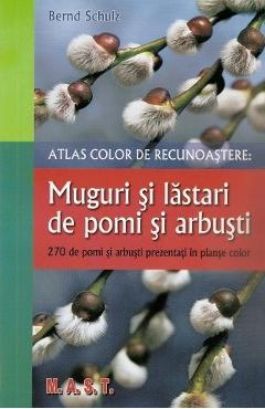 Muguri si lastari de pomi si arbusti - Bernd Schulz