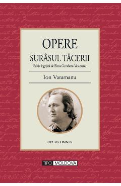 Surasul tacerii - Ion Vatamanu