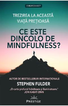 Ce este dincolo de Mindfulness? - Stephen Fulder