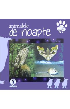 Animalele de noapte
