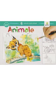 Primele mele picturi. Animale