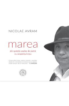 Marea din spatele caselor de piatra cu acoperisul rosu - Nicolae Avram