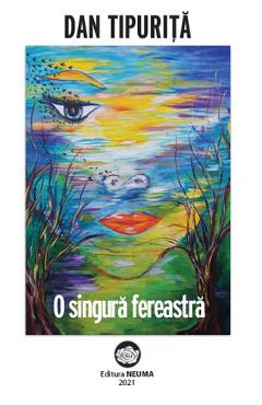 O singura fereastra - Dan Tipurita