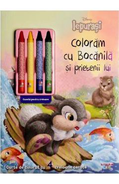 Disney. Iepurasi: Coloram cu Bocanila si prietenii lui