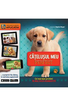 Catelusul meu perfect. Cei mai buni prieteni in Realitatea augmentata