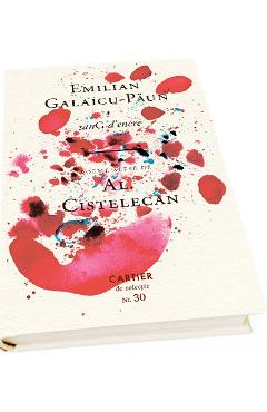 sanG d'encre - Emilian-Galaicu Paun