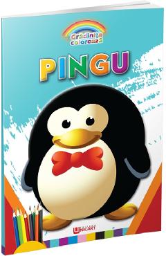 Pingu. Gradinita coloreaza