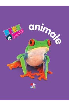 Bebe Invata - Animale